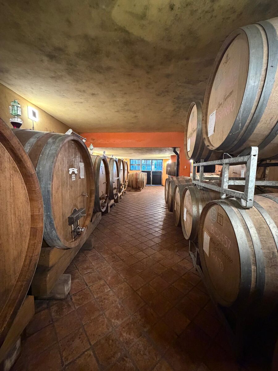 Large oak casks and barriques in a family Barolo cellar