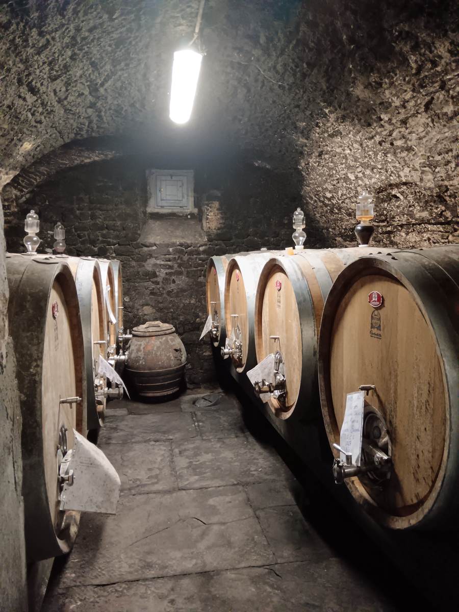 Old oak barrels in the stone cellar of a historic Rufina estate