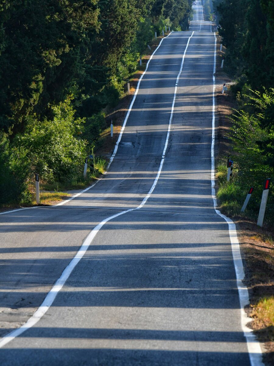 The Viale dei Cipressi, the five-kilometre cypress avenue to Bolgheri