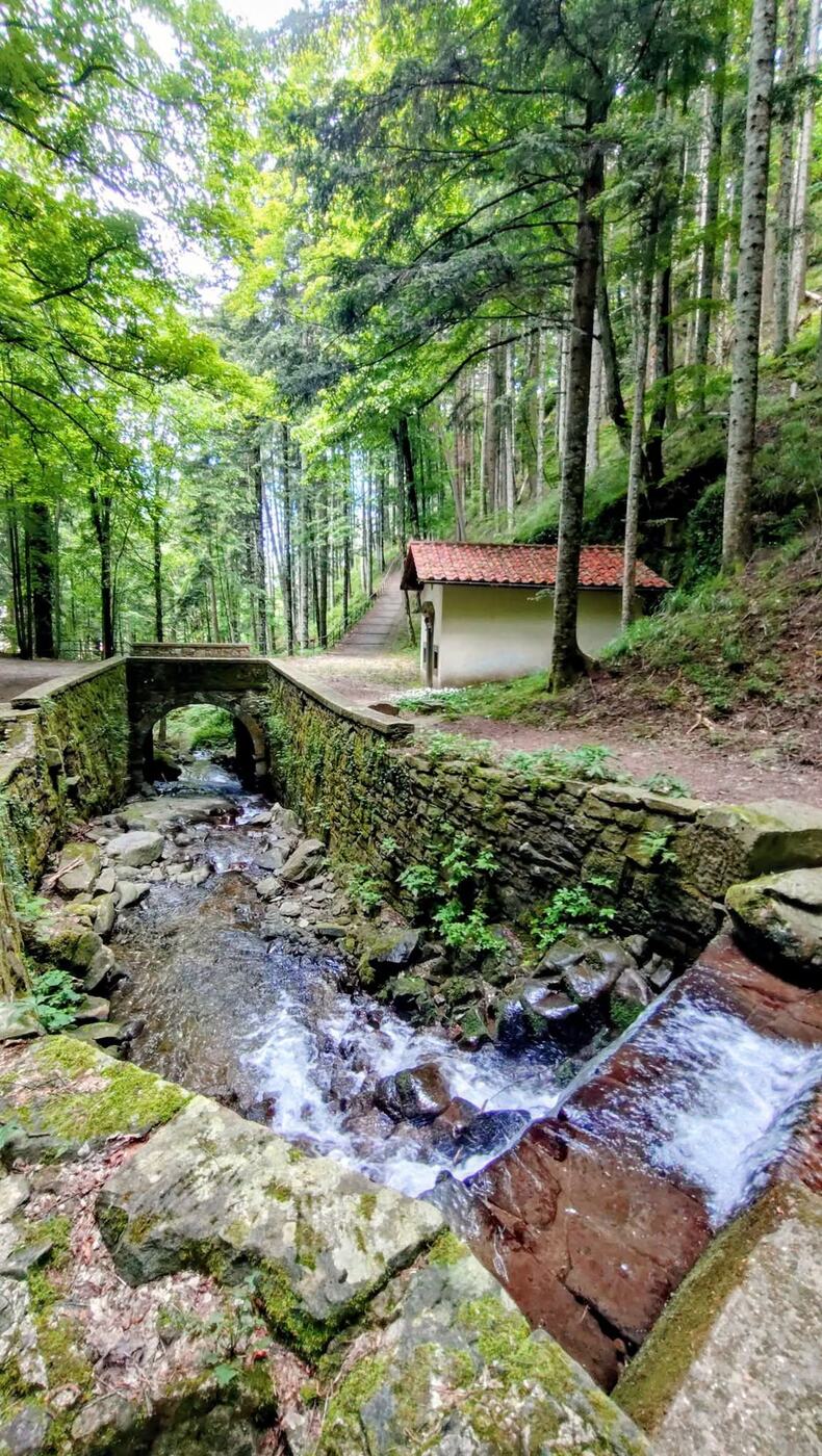 A stone bridge over a mountain stream in the Casentino forests