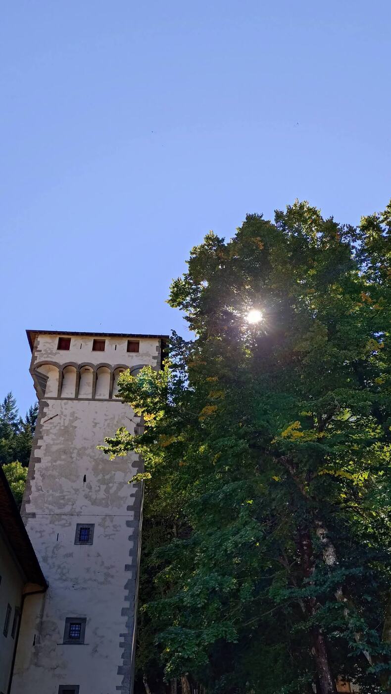 A medieval tower rising above the trees in the Casentino
