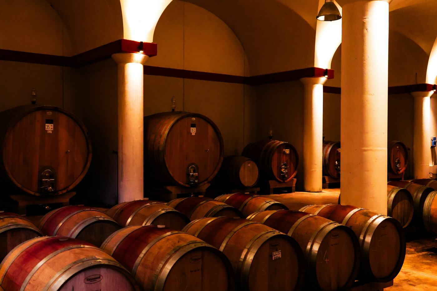 Oak barrels resting in a vaulted cellar