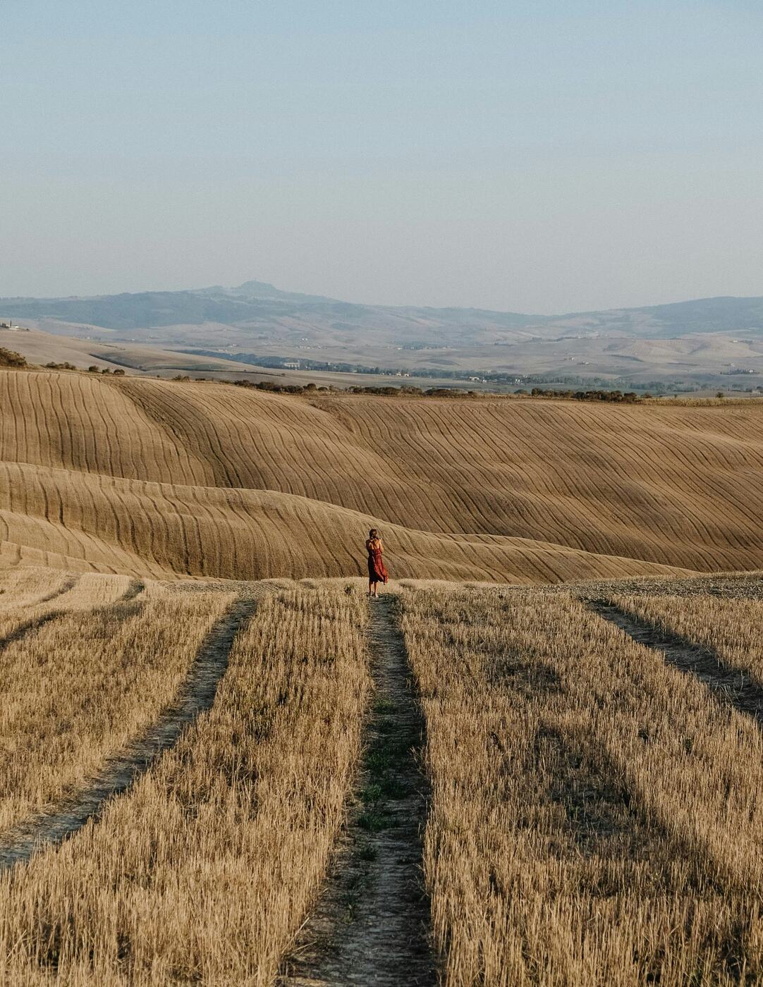 Harvested wheat hills of the Crete Senesi on the drive to Montalcino