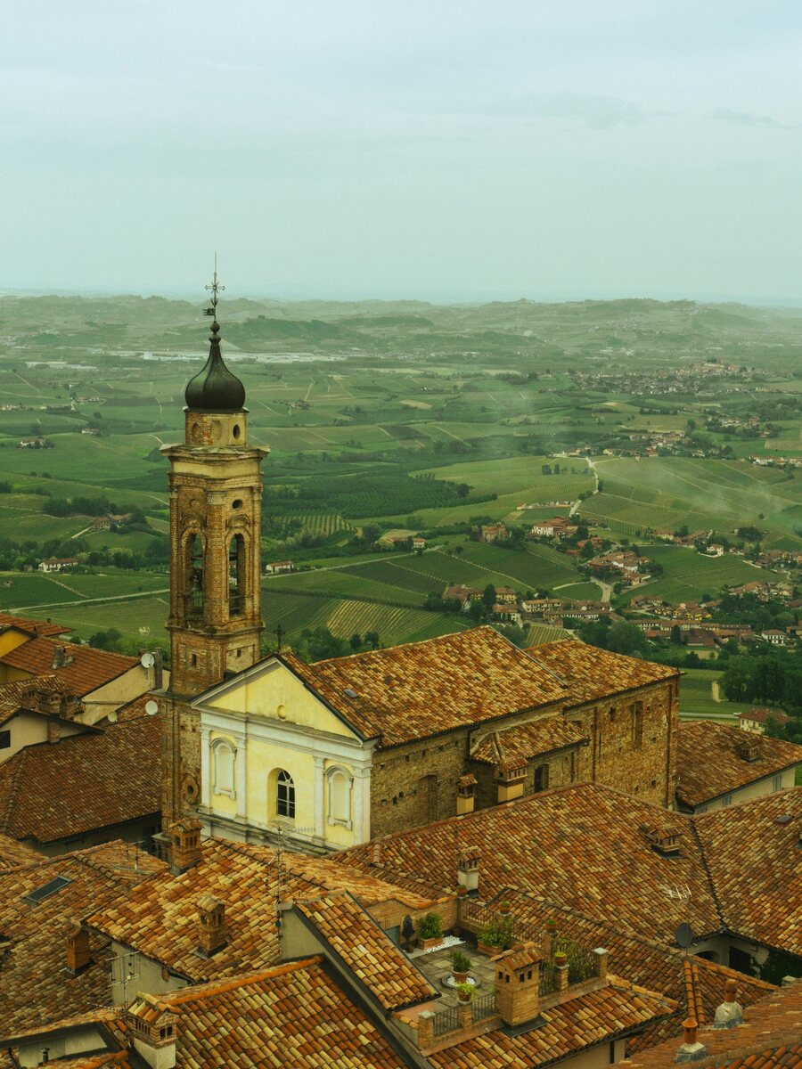 The bell tower of La Morra above the vineyards of the Langhe