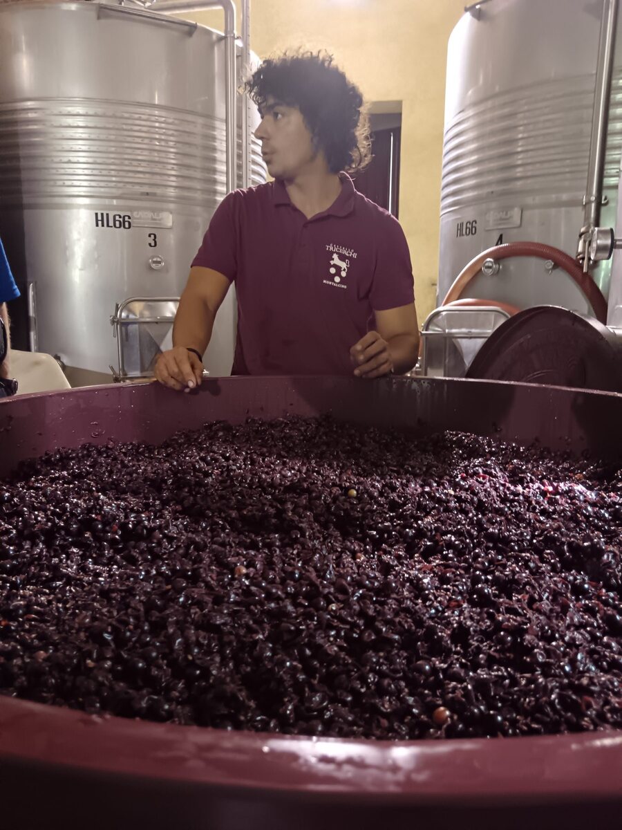 A winemaker beside a vat of fermenting Sangiovese grapes during the Montalcino harvest