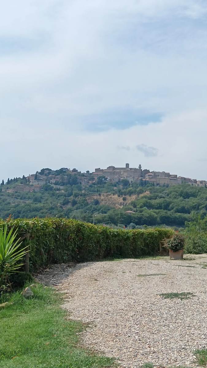 Montepulciano on its hilltop