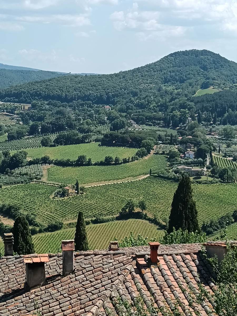Terracotta rooftops and Vino Nobile vineyards below Montepulciano