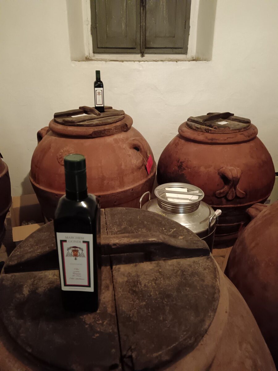 Terracotta jars of the estate's extra virgin olive oil in a historic villa cellar