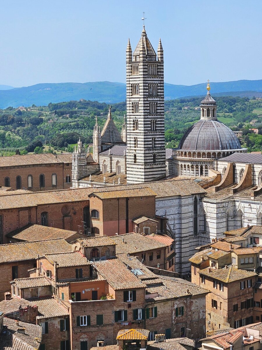 Siena Cathedral and its striped bell tower above the rooftops and hills