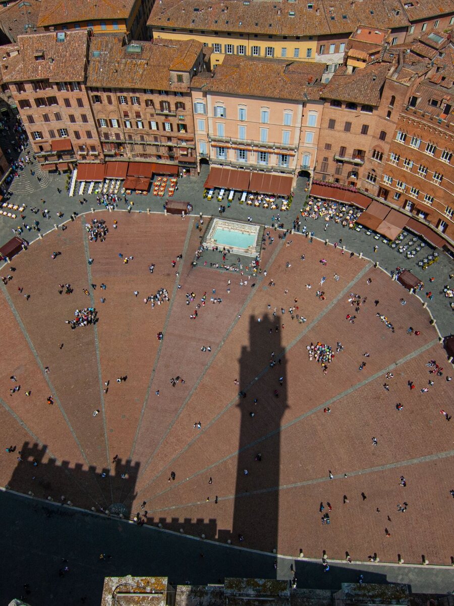 Piazza del Campo in Siena seen from the Torre del Mangia