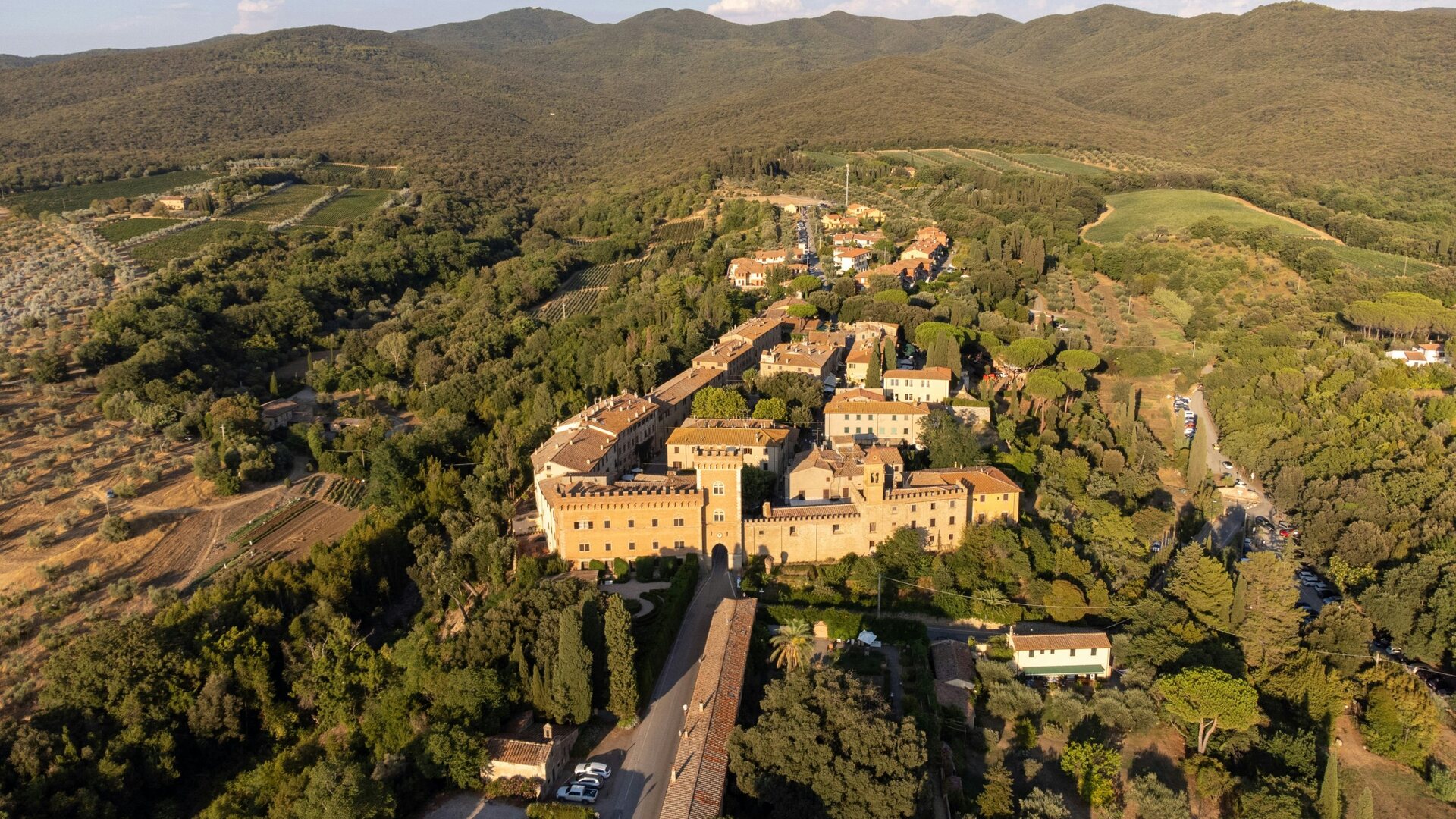 The castle and village of Bolgheri from above