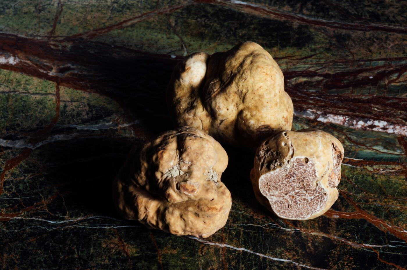 White truffles of San Miniato, one cut open