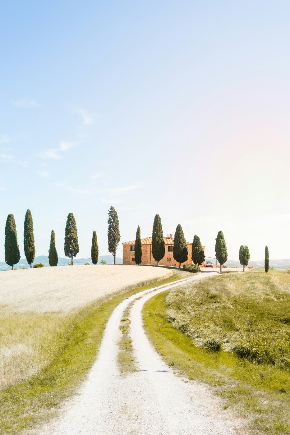 A farmhouse and its cypress avenue in the Val d'Orcia