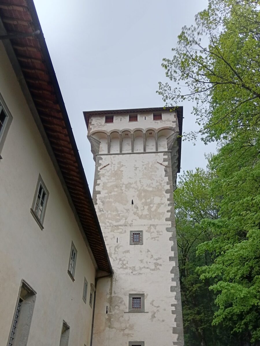 The tower of the Abbey of Vallombrosa among the beech woods