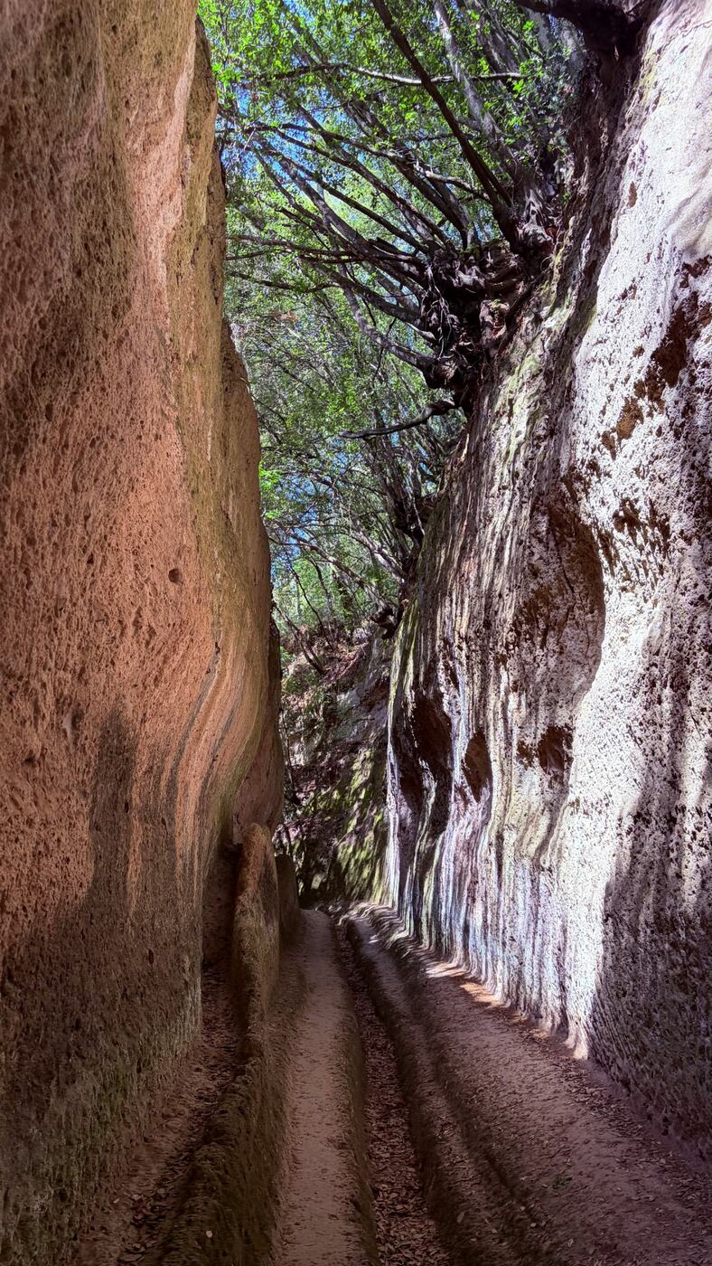An Etruscan sunken road, the Vie Cave, carved into the tufa near Pitigliano