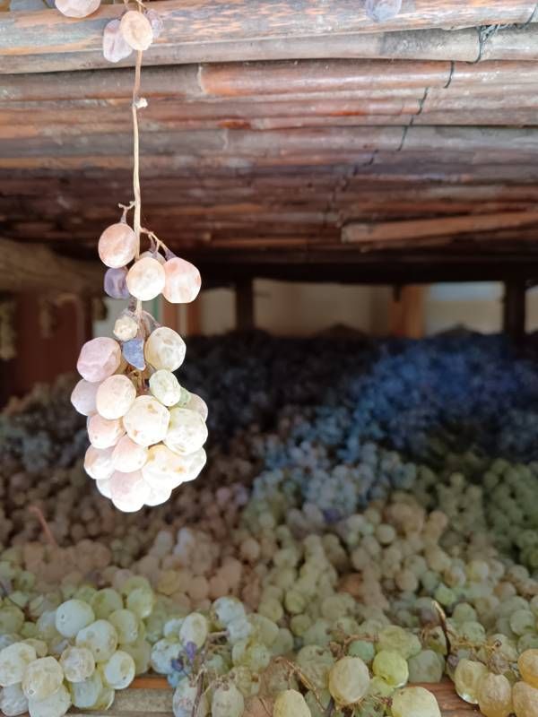 Grapes drying for Vin Santo